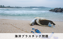 海洋プラスチック問題